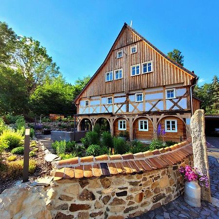 Pferdehof Am Burgsberg, Ferienzimmer, Monteurzimmer Seifhennersdorf Eksteriør billede
